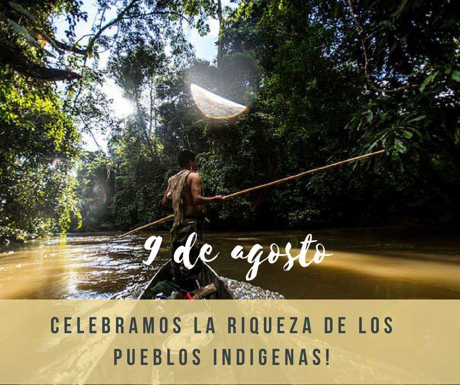 Día Internacional De Los Pueblos Indígenas Cultural Survival